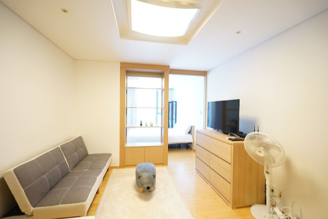 チャムシル ステーション & ギャラリア パレス アパートメント B