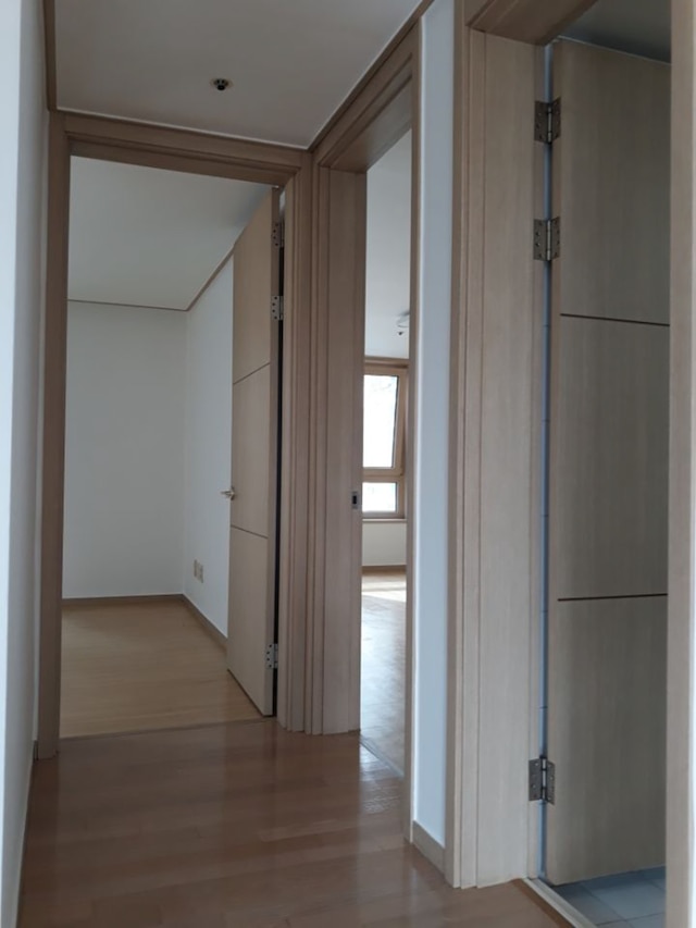 COEX サムソン ステーション ゴージャス アパートメント