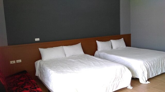 マジック バタフライ