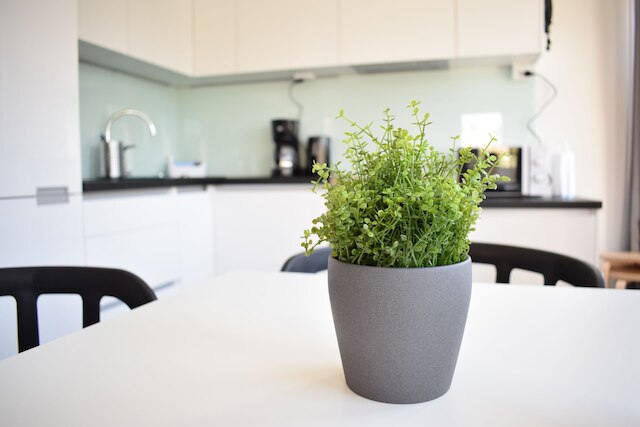 ヒーシ ホームズ ヘルシンキ ハーガ