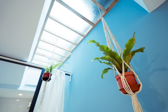 ルーム タイム (時・間)