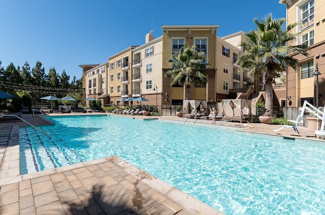 ブルーバード スイーツ イン シリコン バレー