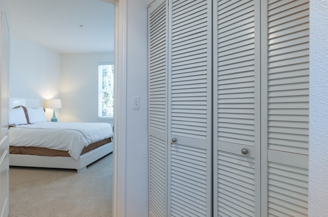 ブルーバード スイーツ イン ノース サンノゼ