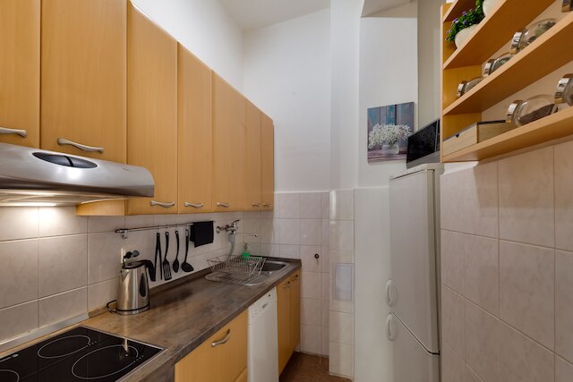 プラハ シティ センター アパートメント