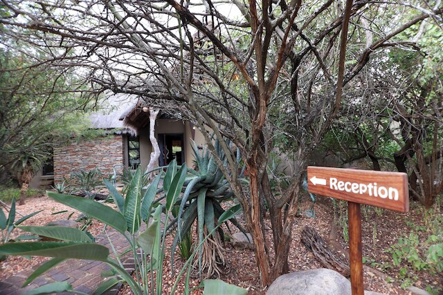 コール オブ ザ ワイルド ロッジ