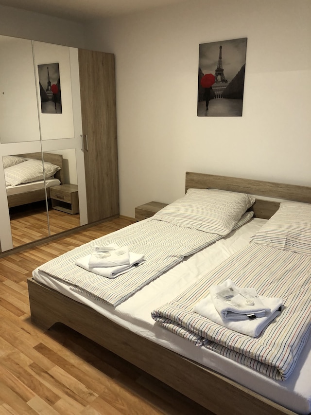 サハラ ファルコン