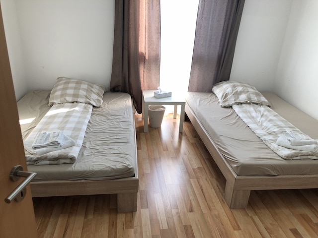 サハラ ファルコン