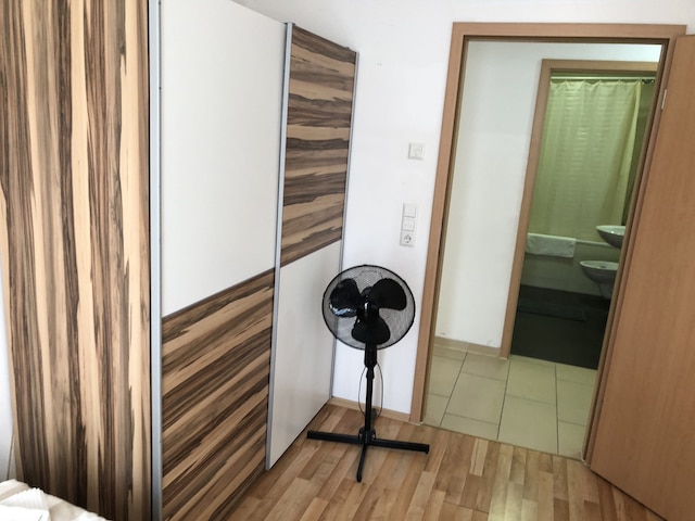 サハラ ファルコン