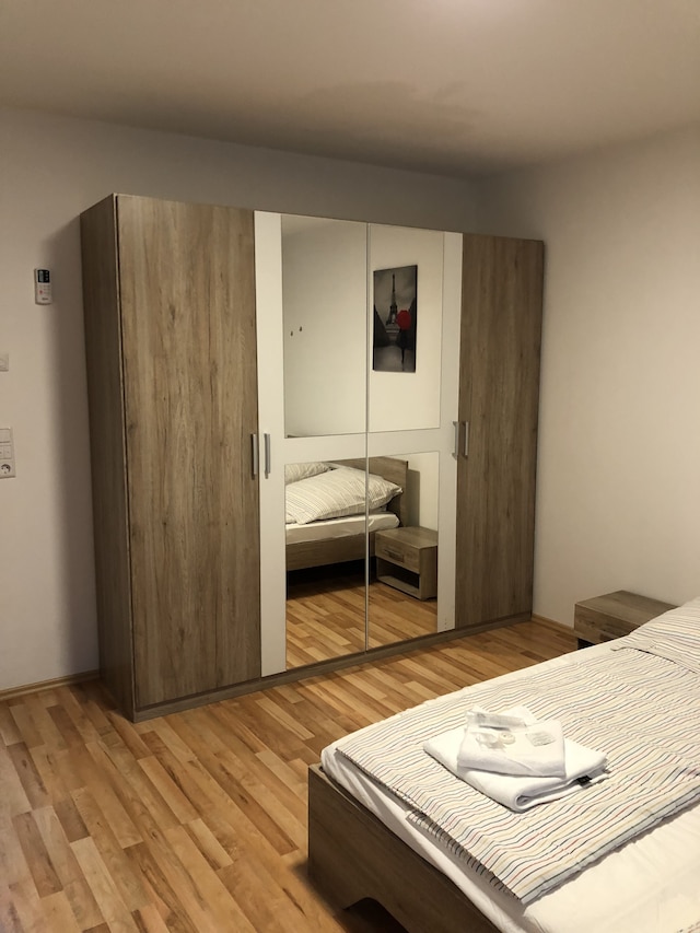 サハラ ファルコン