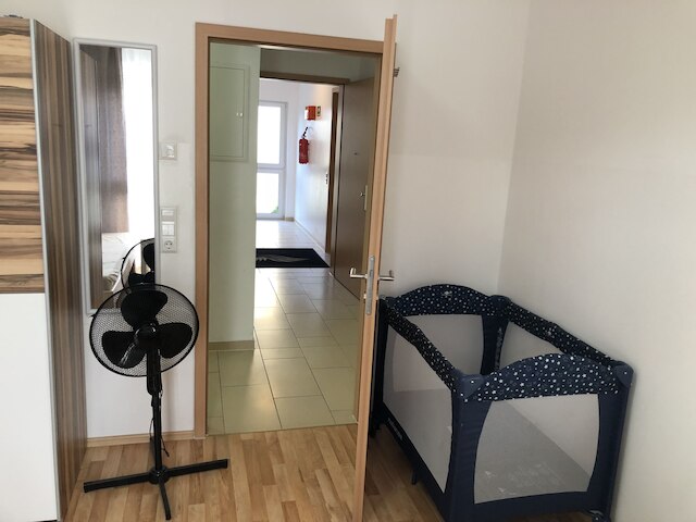 サハラ ファルコン