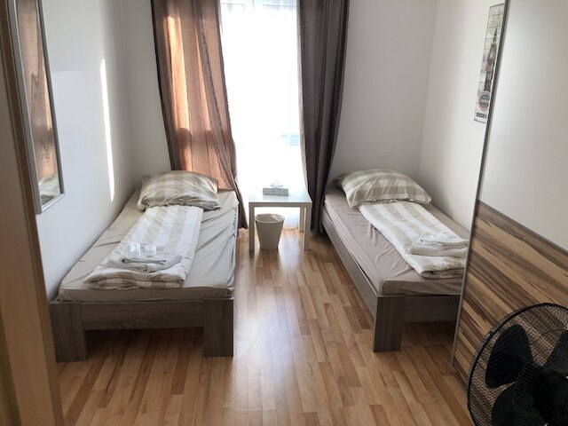 サハラ ファルコン