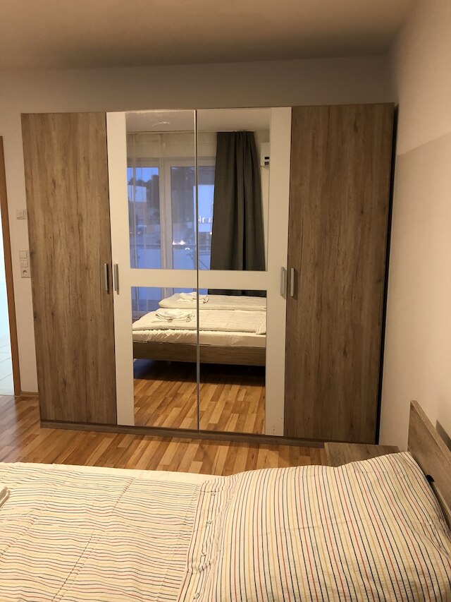 サハラ ファルコン