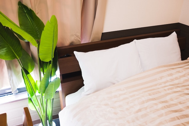 One More Heart 伏見稲荷3