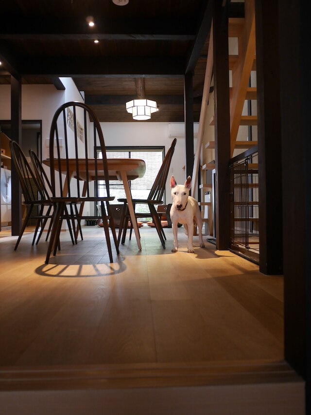 西陣北はぎ・あじさい