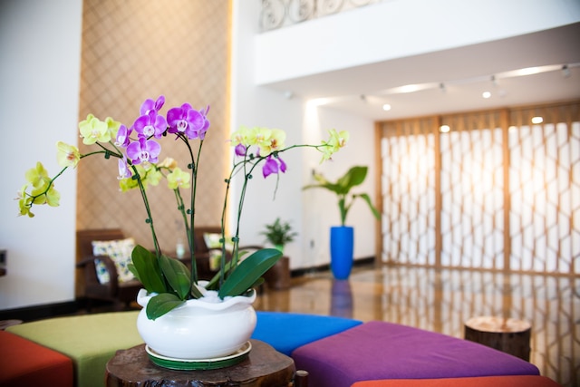 サントリ ホテル ダナン ベイ