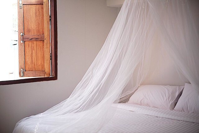 ザ グッド デイズ