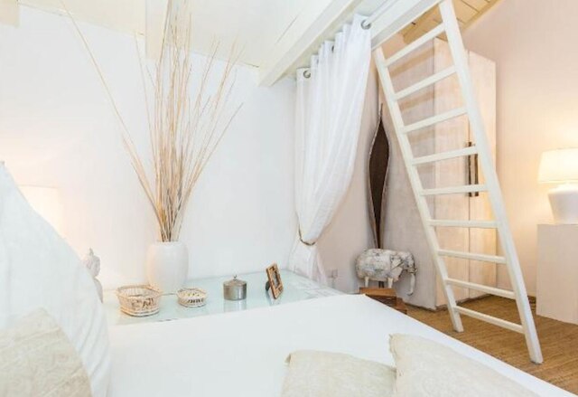 ナチュラル・パンテオン