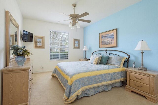 ウィンザー パームス リゾート