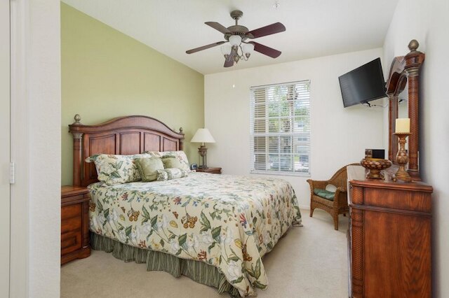 ウィンザー パームス リゾート