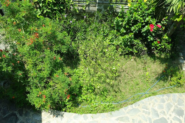 ザ ファイフー ハウス