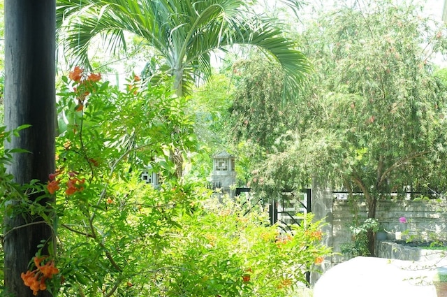 ザ ファイフー ハウス