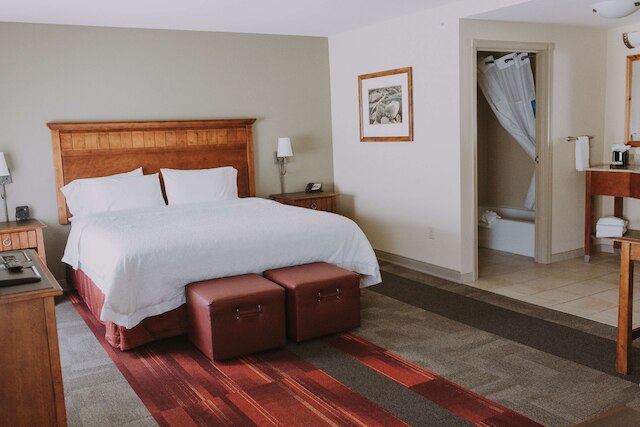 ハンプトン イン & スイーツ グリーン リバー