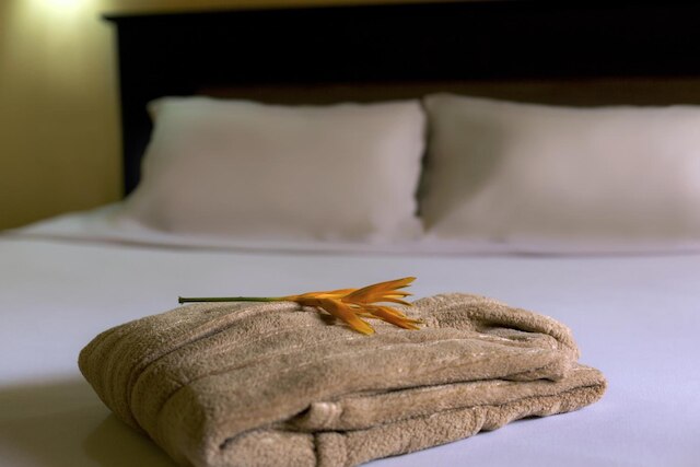 ドゥニア オテル ビサウ