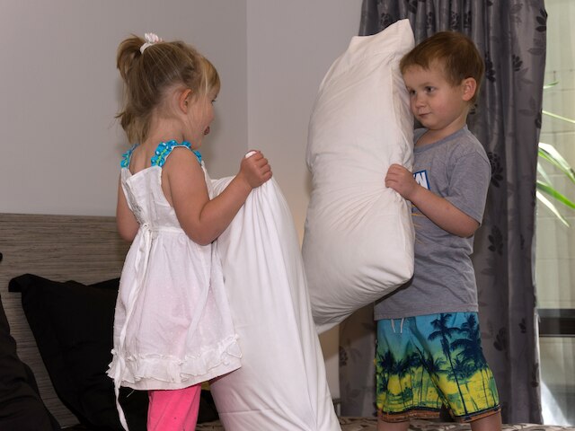 アリスタ オブ ロトルア