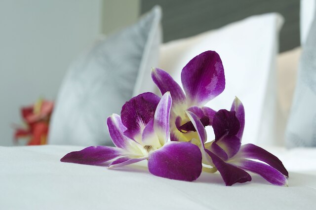 イビス セマラン シンパン リマ