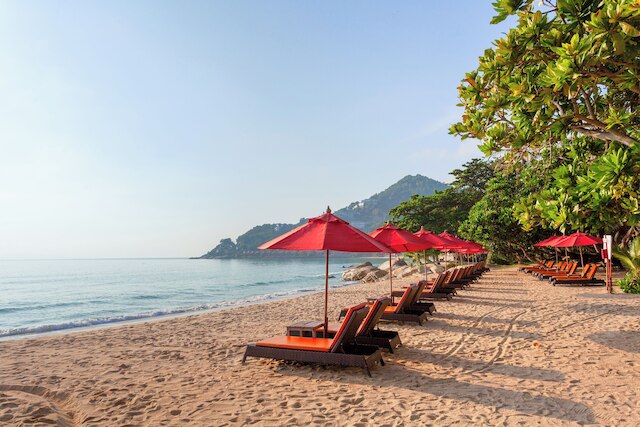 ニュー スター ビーチ リゾート