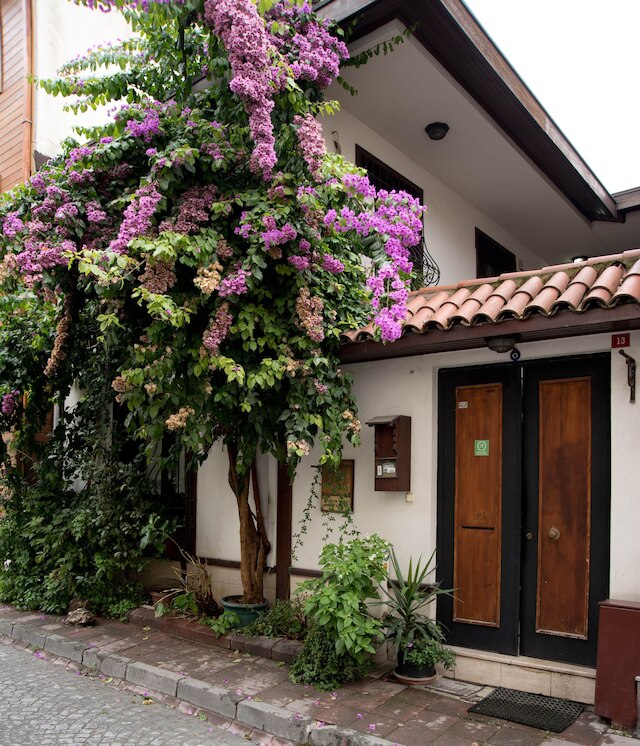 ヴィラ スフェーンドン スイーツ