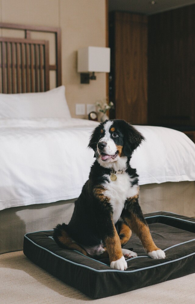 ハイアット バンクーバー ダウンタウン アルバーニ