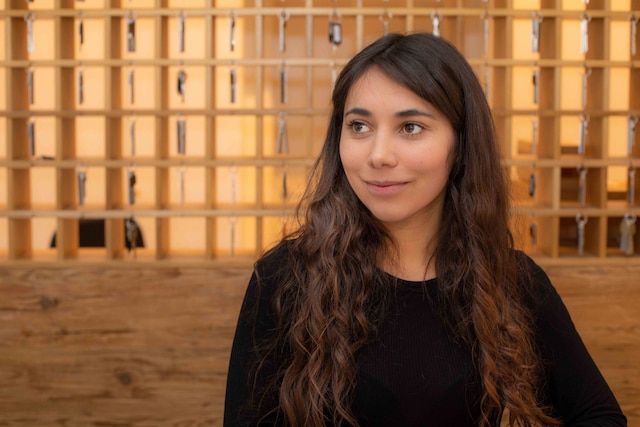 ダウンタウン ヴィ ヴァディ ホテル