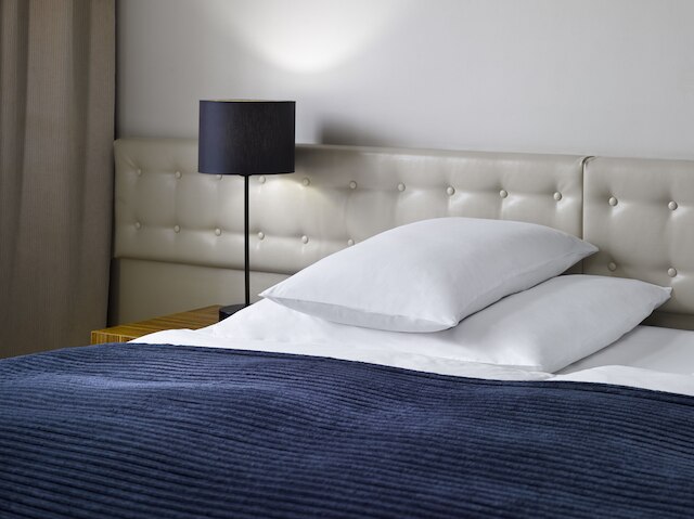 ザ アイコン ホテル