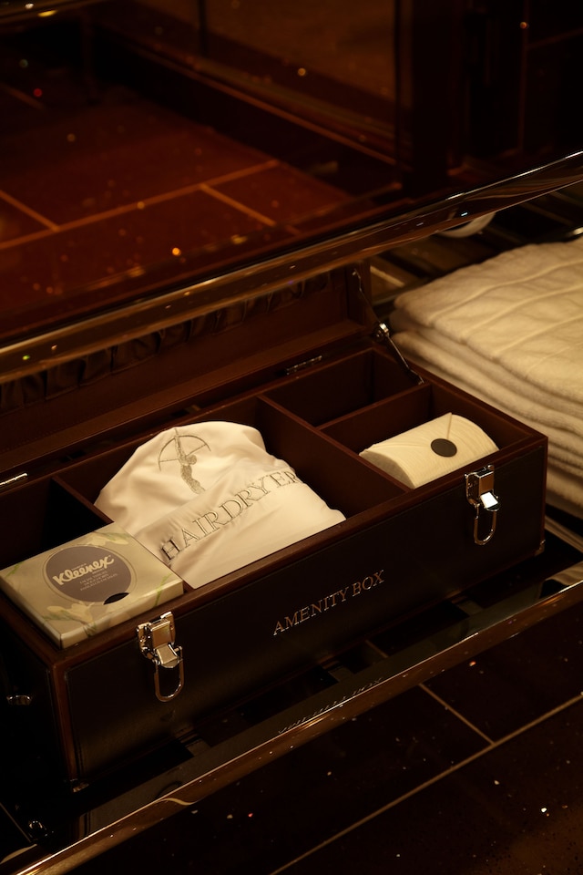 ザ チャトワル イン ザ アンバウンド コレクション バイ  ハイアット