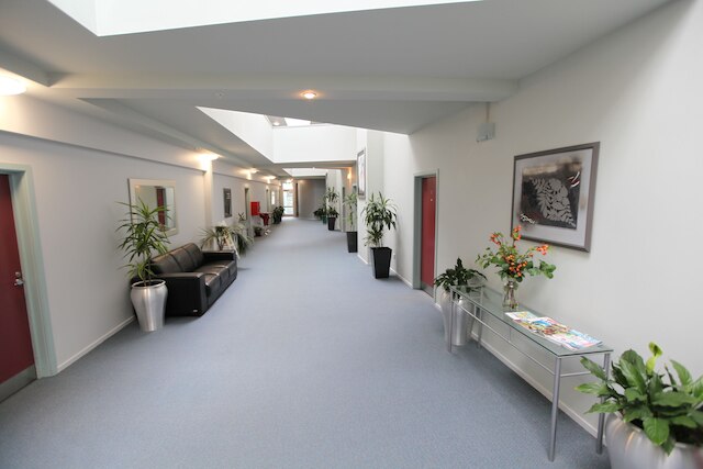 ベストウェスタン ウェリントン