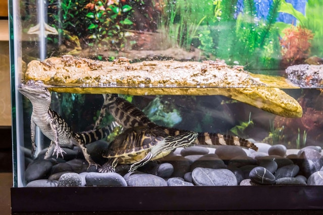 コンフォート スイーツ パーム ベイ - メルボルン