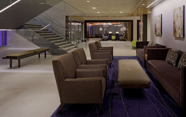 ハイアット アット オリーブ 8