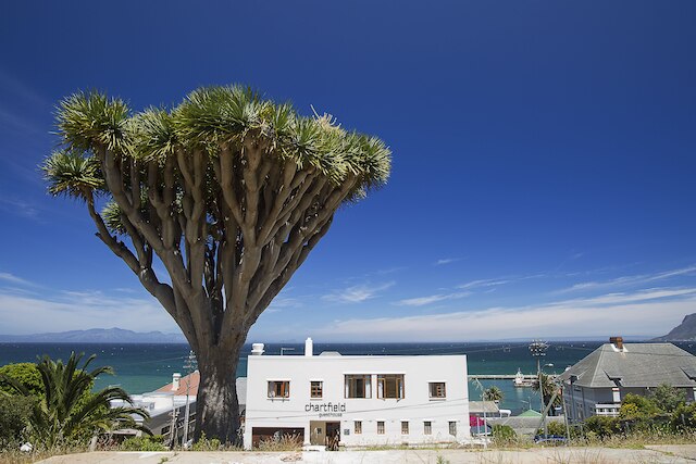 チャートフィールド ゲストハウス