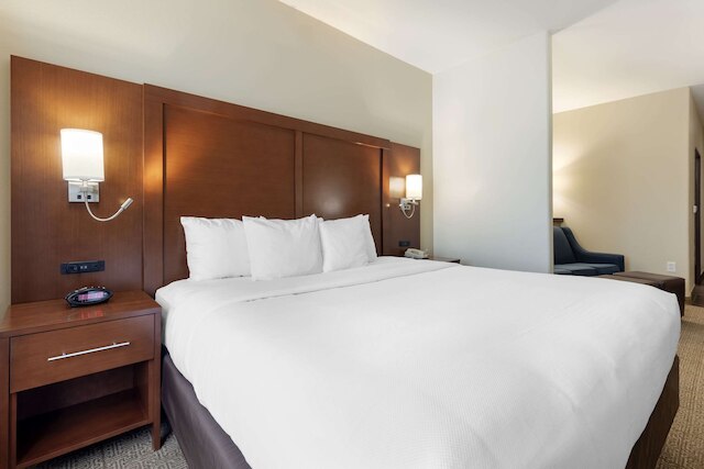 コンフォート スイーツ ウェスト ダラス - コックレル ヒル