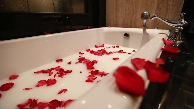 ハンス ロイヤル ガーデン ホテル (北京涵珍園国際酒店)