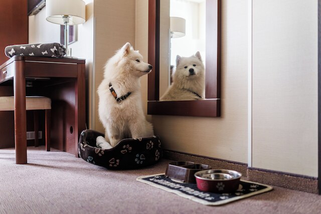 ホテル コサック