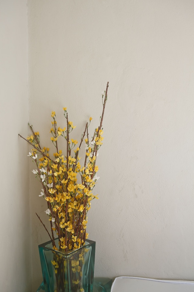 ロカマール ホテル パノラミコ イスラ ムヘレス