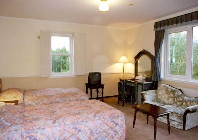 フリーダム イン ニセコ