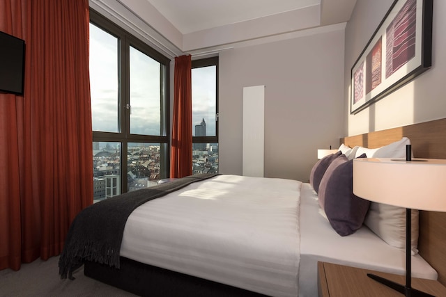 アディナ アパートメント ホテル フランクフルト ノイエ オペラ