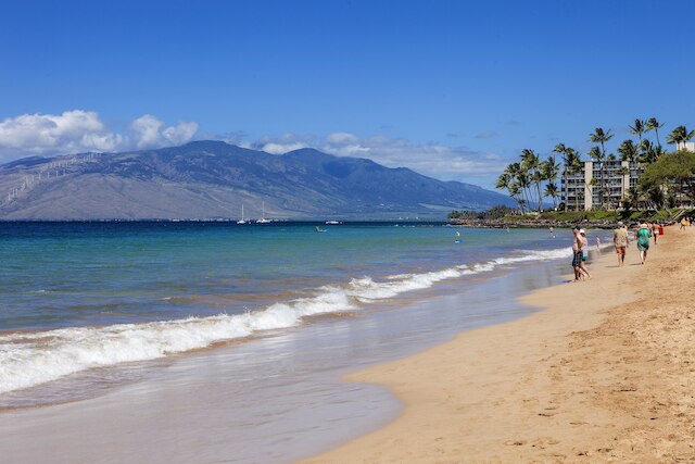 マウイ バンヤン - マウイ コンド & ホーム