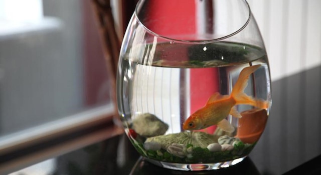 ホテル・ブリアンはホテルIPLになります