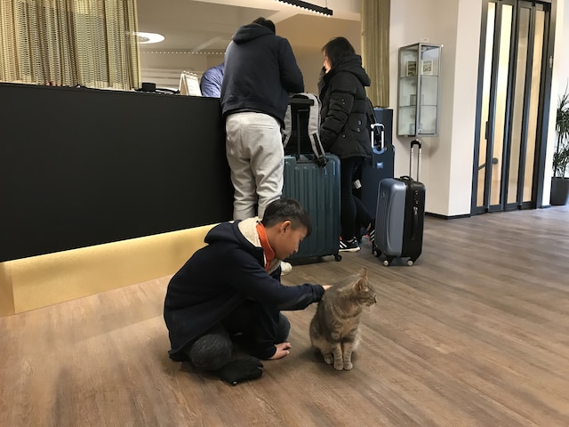 ホテル ジャルダン