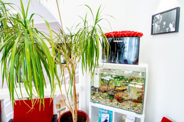 ホテル・パリジャン