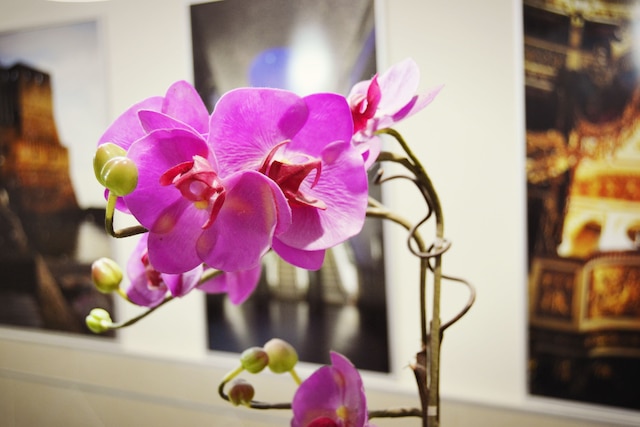 ホテル コロンボ